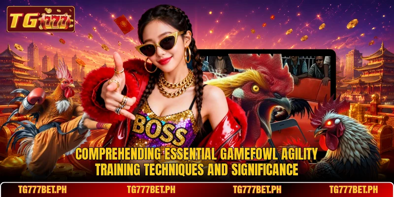Comprehending essential gamefowl agility training techniques and significance Comprehending essential gamefowl agility training techniques and significance