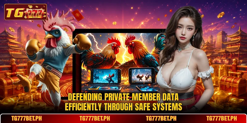 Defending private member data efficiently through safe systems Defending private member data efficiently through safe systems