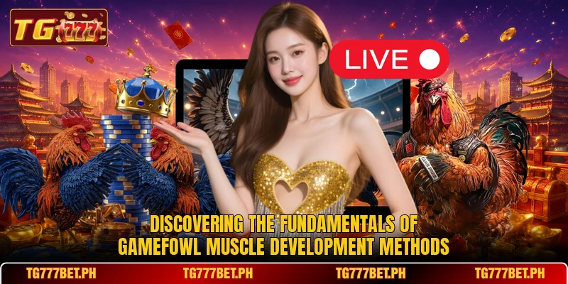 Discovering the fundamentals of gamefowl muscle development methods Discovering the fundamentals of gamefowl muscle development methods
