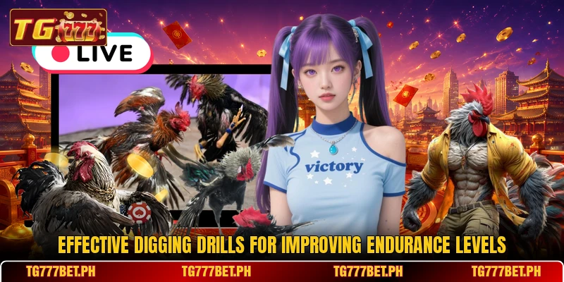 Effective digging drills for improving endurance levels Effective digging drills for improving endurance levels