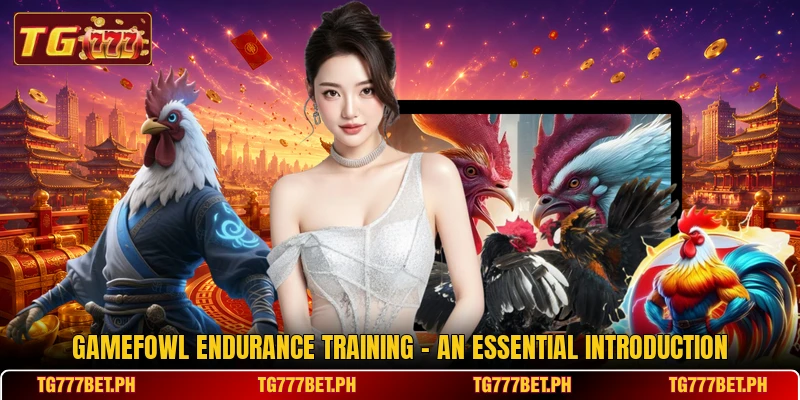 Gamefowl Endurance Training - An Essential Introduction Gamefowl Endurance Training - An Essential Introduction