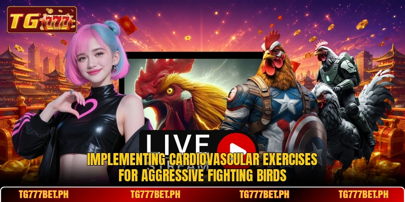Implementing cardiovascular exercises for aggressive fighting birds Implementing cardiovascular exercises for aggressive fighting birds