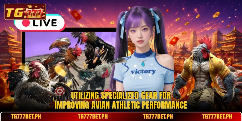 Utilizing specialized gear for improving avian athletic performance Utilizing specialized gear for improving avian athletic performance